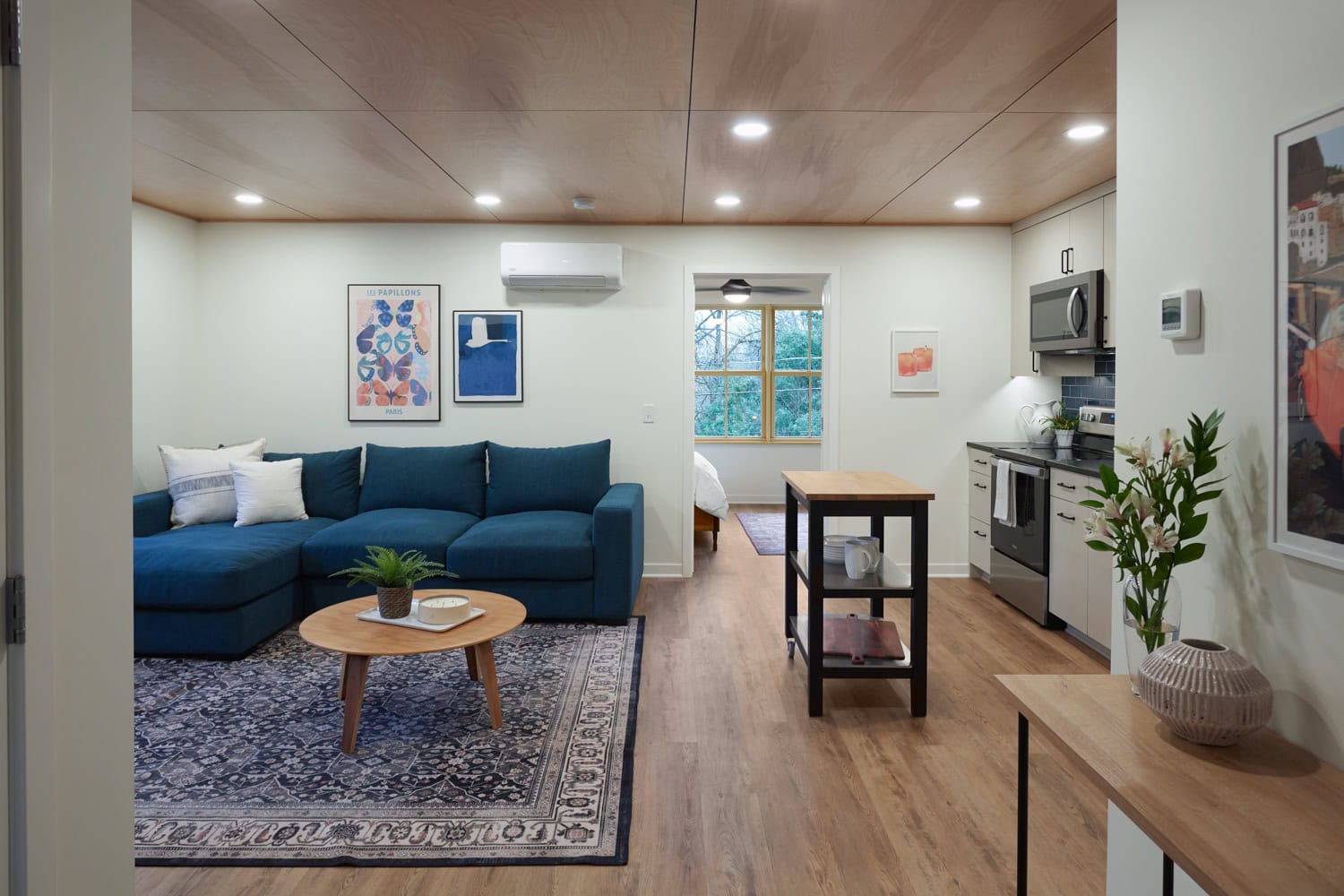 ADU Living Room Design and Build