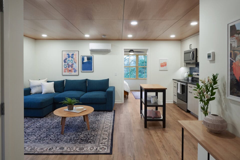 ADU Living Room Remodel