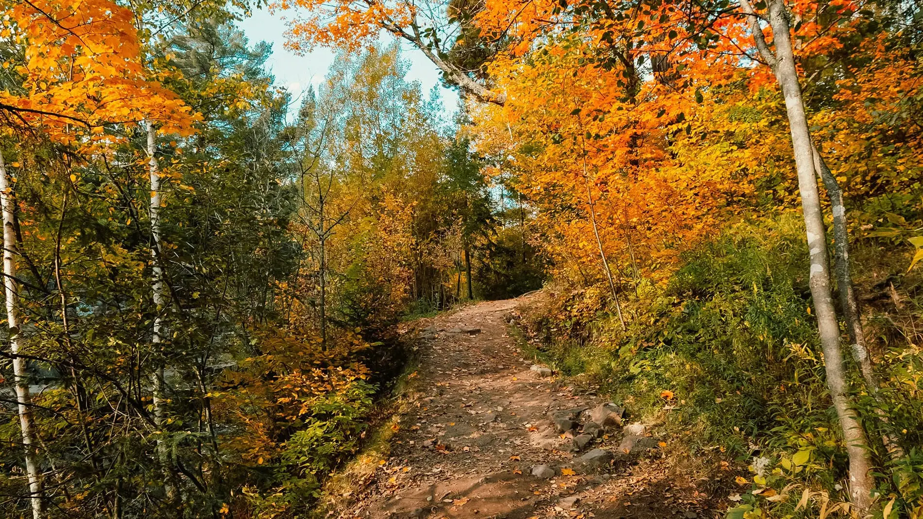 The Ultimate Twin Cities Fall Bucket List 1 The Ultimate Twin Cities Fall Bucket List